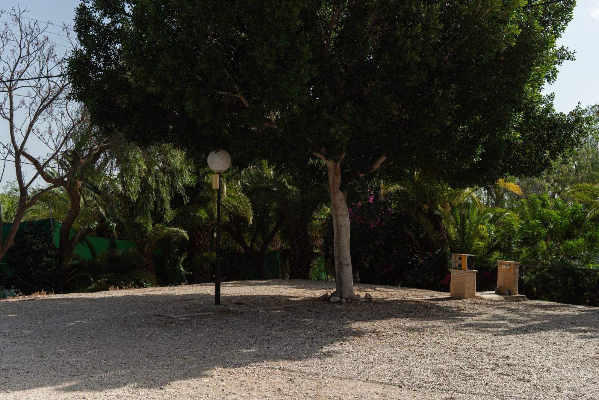 Camping Las Palmeras Кревильенте Экстерьер фото